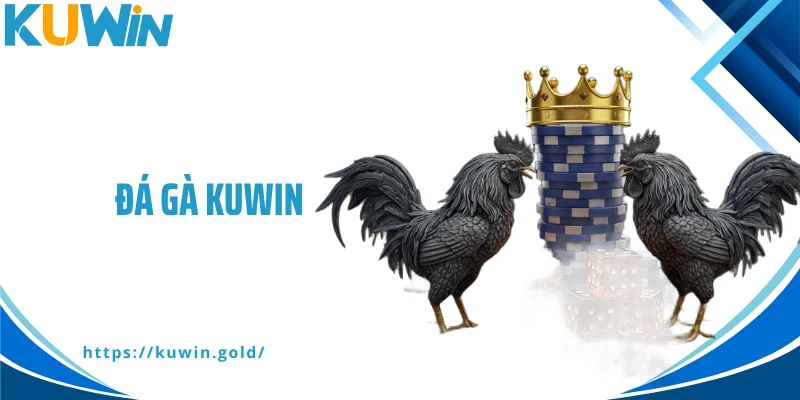 Đá Gà Kuwin - Hệ Thống Chọi Kê Chuyên Nghiệp, Xanh Chín