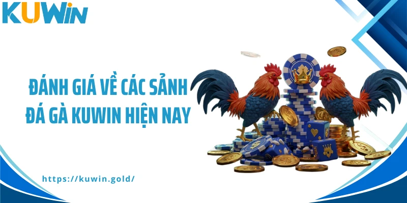 Đánh giá về các sảnh đá gà Kuwin hiện nay