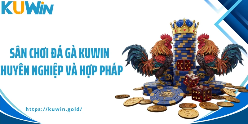 Sân chơi đá gà Kuwin chuyên nghiệp và hợp pháp